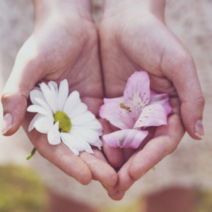 flowers offered in hands